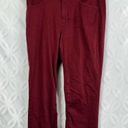 J.Jill  Christian Siriano Merlot Straight Leg Ankle Length Jeans Size 10 Photo 3