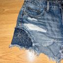 American Eagle Outfitters Shorts Photo 1