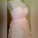 Krass&co London Dress  ModCloth Pale Pink Flower Appliqué Strapless Formal Dress Size 4 Photo 1