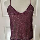 ZARA  pink sequin sleeveless top Photo 1