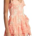 Love Shack Fancy  Olani Coral Smocked Mini Dress NWT Photo 2