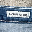 Daytrip  Capricorn High Rise Denim Jean Distressed Jean Shorts! Photo 2