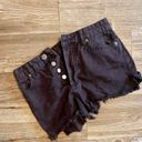 Amuse Society Black Denim Shorts  Photo 0