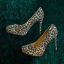 Top Moda 3 inch cheetah print heels size 10 Photo 2