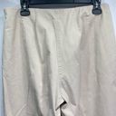 Coldwater Creek  Khaki Tan Chino Flat Front Side Zip Straight Leg Pants Size 10P Photo 2