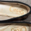 Circus by Sam Edelman  ballet slipper design Photo 2