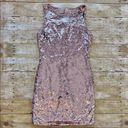 BB Dakota NWT  by Steve Madden Revolve Garland Dress Rose Gold Sequins Photo 2