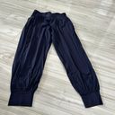 Lululemon Navy  Sweatpants Photo 0