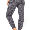 Celebrity Pink  Curvy Joggers - Grey & Black Cheetah Print - Size Small Photo 1