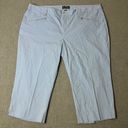 Ralph Lauren L-RL  Active Women's 22  Blue White Stripe Cropped Capri Pants Photo 0