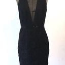 Carmen Marc Valvo  Mesh Insert Lace Cocktail Dress Photo 4