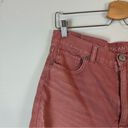 American Eagle AEO | Mauve Pink Distressed Highest Rise Mom Shorts Size 12 Photo 1