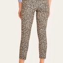 J.Crew  Leopard -print Winnie pant in stretch cotton capris  Size 10 H684 NWT Photo 4