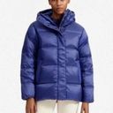 Everlane  Re:down Puffy Puff Water Resistant Hooded Jacket in Blue Large New Photo 0