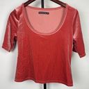 Abercrombie & Fitch Abercrombie Fitch Pink Rose Velvet Short Sleeve Scalloped Neckline Crop Top Photo 0