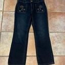 Pilcro  FRONT POCKET EMBROIDERED ANKLE STRAIGHT JEANS SIZE 27 Photo 0