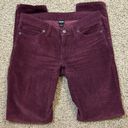 Patagonia  Women's Everyday Corduroy Pants Organic Size 28 / 6 burgundy red Photo 1