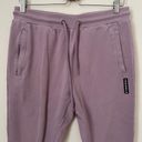 YoungLA Light Purple Lavender Jogger Pants Size L Size L Photo 1