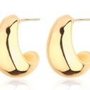 House of Harlow  Gold Chunky earrings Photo 0