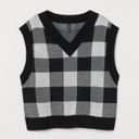 H&M Plaid Sweater Vest Photo 0