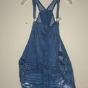 American Eagle  Overall Shorts Photo 0