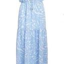 a.n.a NWT  Cate Blue Animal Print Jill Maxi Dress - size Large Photo 0