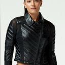 Blanc Noir Genuine Leather Moto Drop Jacket S Black Lace Sheer Panels Photo 0