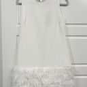 Sam Edelman NWT  White Feather Bottom Dress Photo 0