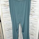 Coldwater Creek  Women's Plus Pull On Relaxed Wide Leg Pants Teal Blue 18 Photo 3