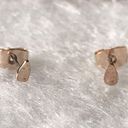 American Eagle Rose Gold Teardrop Earrings Photo 0