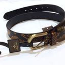 Patricia Nash  Vietri Leather Belt Python Print Sz Lg New Brown/Orange & Black Photo 1