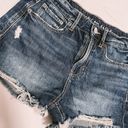 American Eagle Outfitters Tomgirl Shorts Photo 4