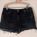 BDG Urban Outfitters  Girlfriend High Rise Shorts Photo 0