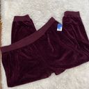 Abound NWT Velour Joggers Photo 1