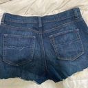 New York & Co. Denim Shorts Photo 1