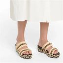 Christian Louboutin  Voltinoudou Spiked Raffia  Snakeskin Leather Espadrille Mule Photo 15