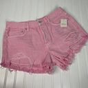 Free People NWT  Women’s Pink Belt Lopped Distressed Bermuda Short Size 29 Photo 0