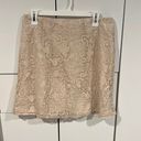 New York & Co. skirt . Size 8 Photo 0