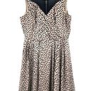 BCBGeneration  Dress Chai Combo Polka Dot Dots Mesh Mini Black & Creme Size 6 Photo 0