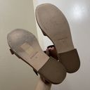 Everlane  dark brown leather buckle strap sandals size US 7 Photo 5