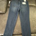 Gloria Vanderbilt Womens Amanda Classic Rise Tapered Jean Petite Size 10P Short Photo 4