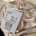 David's Bridal David’s Bridal Silver Satin sheen strapless/halter Photo 5