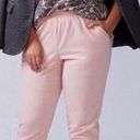 Lane Bryant  NWT Pink Elastic Waistband Relaxed Mid Rise Joggers Size 18/20 Photo 0