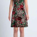 Dolce & Gabbana NWOT  rose leopard print dress Photo 1