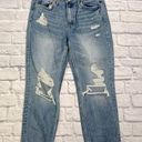 Vervet Flying Monkey boyfriend distressed straight leg jean Photo 0