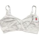 Fruit of the Loom  Women's T-Shirt Bra 38D White Wireless Soft Cup Photo 0