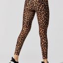 Beach Riot Leopard Leggings Photo 1