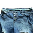 Judy Blue  Women's Plus Size 18 Distressed Skinny Jeans Medium Wash Photo 8