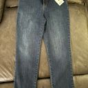 Gloria Vanderbilt Womens Amanda Classic Rise Tapered Jean Petite Size 10P Short Photo 3