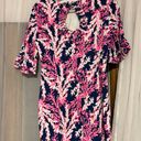 Lilly Pulitzer Lily Pulitzer Dress Photo 1